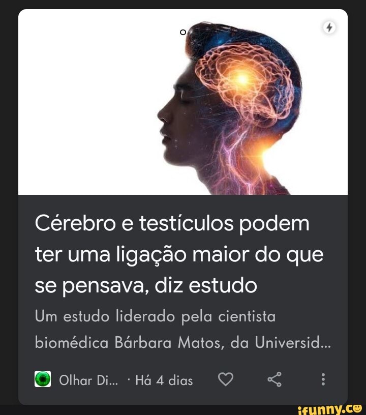 Cérebro e testículos podem ter uma ligação maior do que se pensava diz