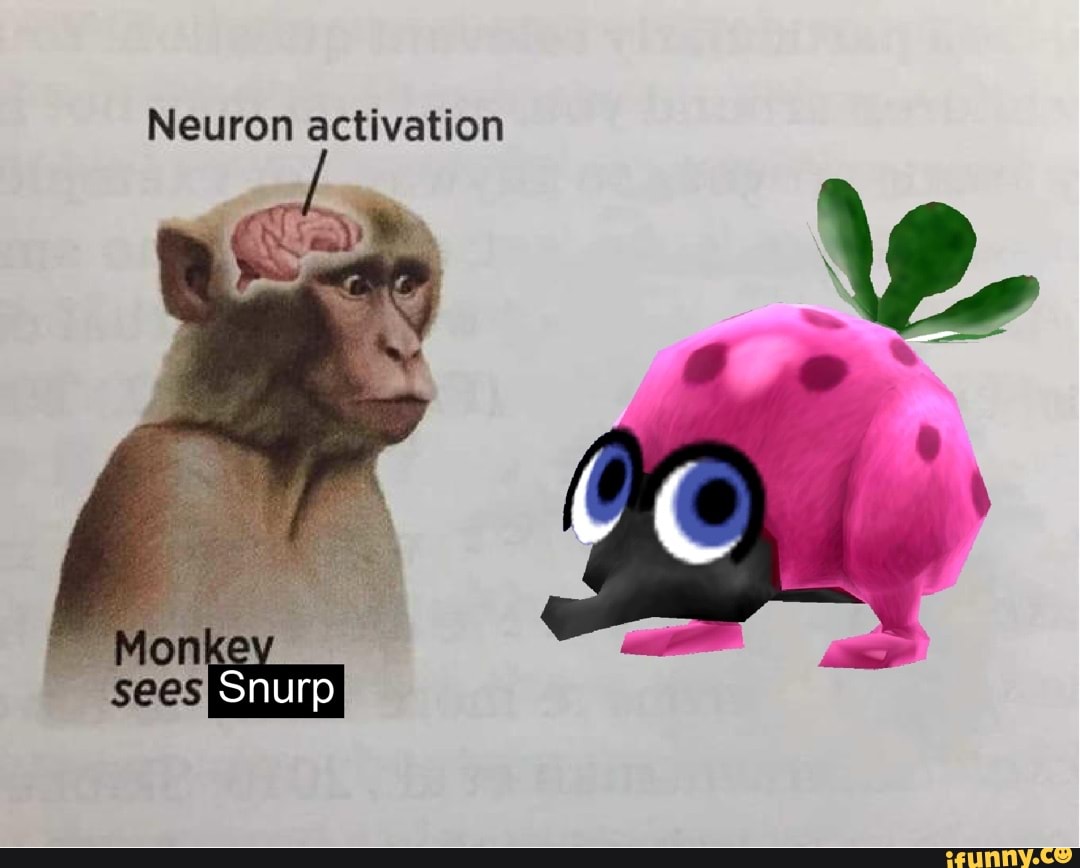 Neuron Activation Monk Sees Snurp IFunny Brazil