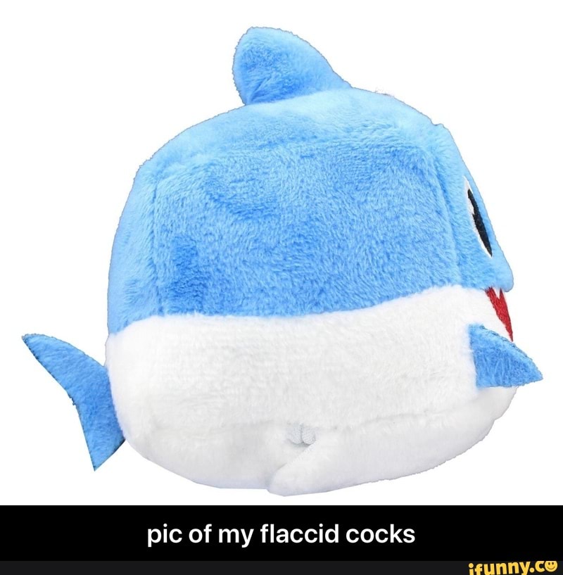 Pic Of My Flaccid Cocks Pic Of My Flaccid Cocks Ifunny Brazil