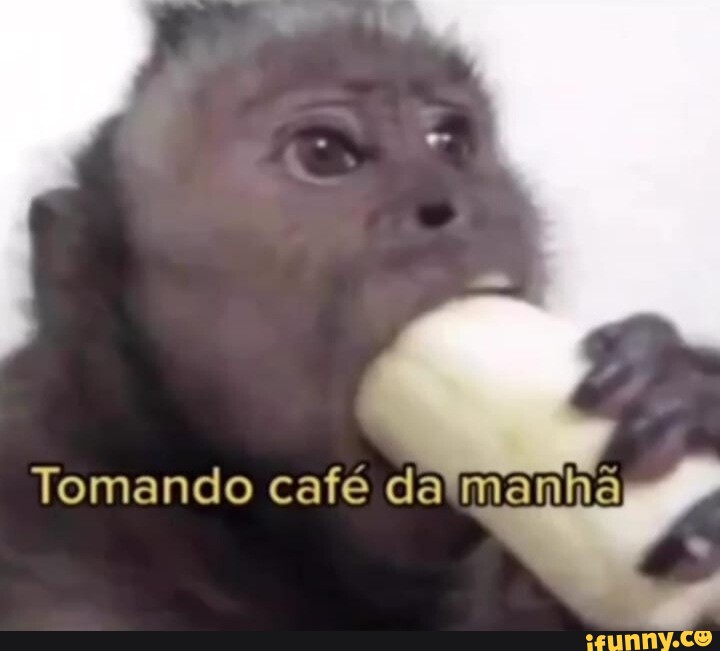 Manh Tomando Caf Da Ifunny Brazil