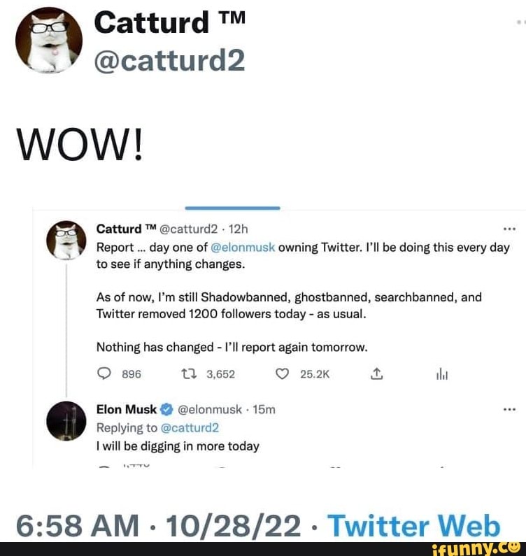 Catturd Catturd2 WOW Report Day One Of Elonmusk Owning Twitter I Ll