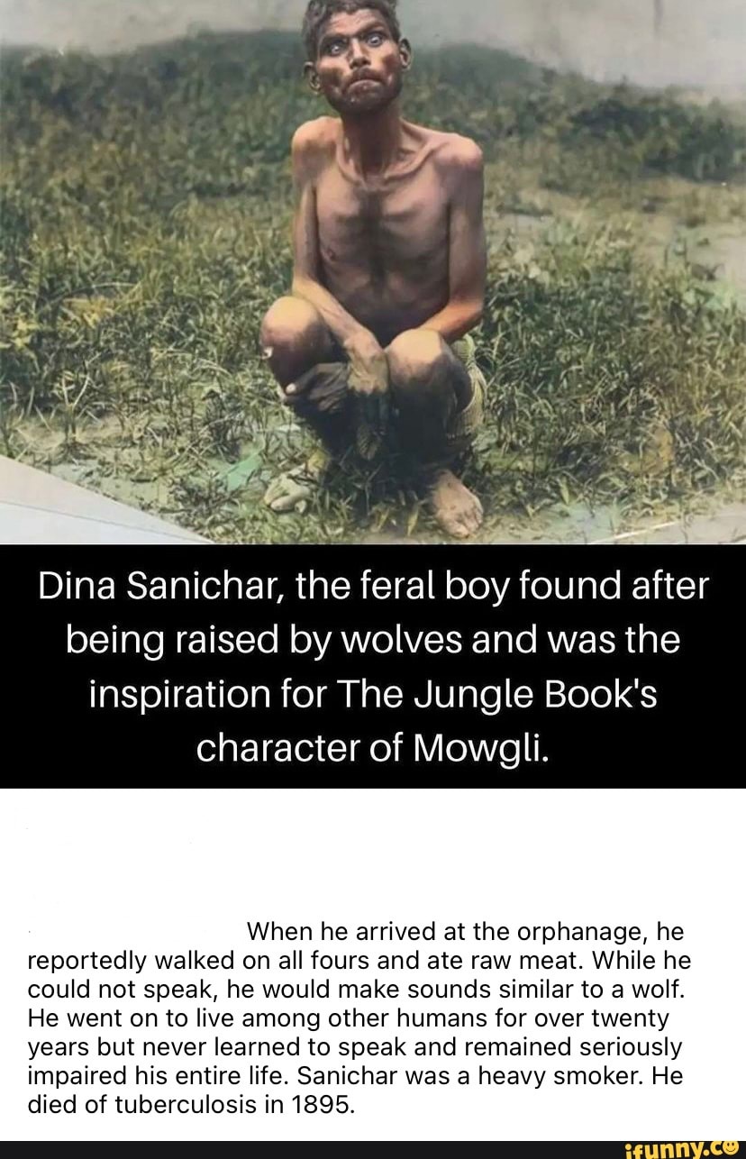 Dina Sanichar The Feral Boy Found After Being Raised By Wolves And Was