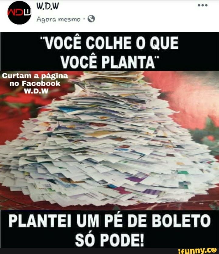 VOCE COLHE O QUE VOCE PLANTA PLANTEI UM PÉ DE BOLETO Só PODE