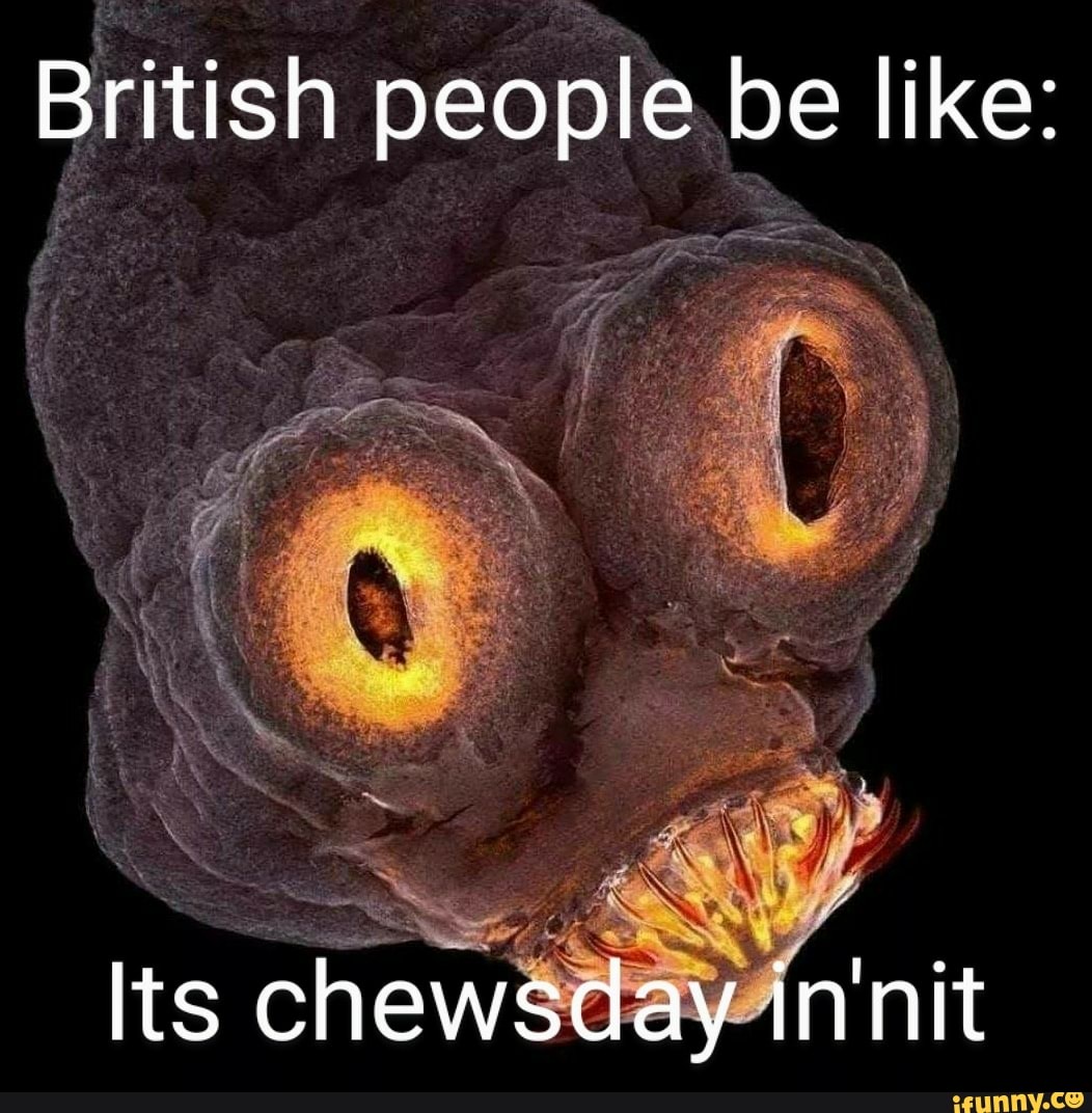 Chewsday Innit Meme Seller Uk Micoope Gt