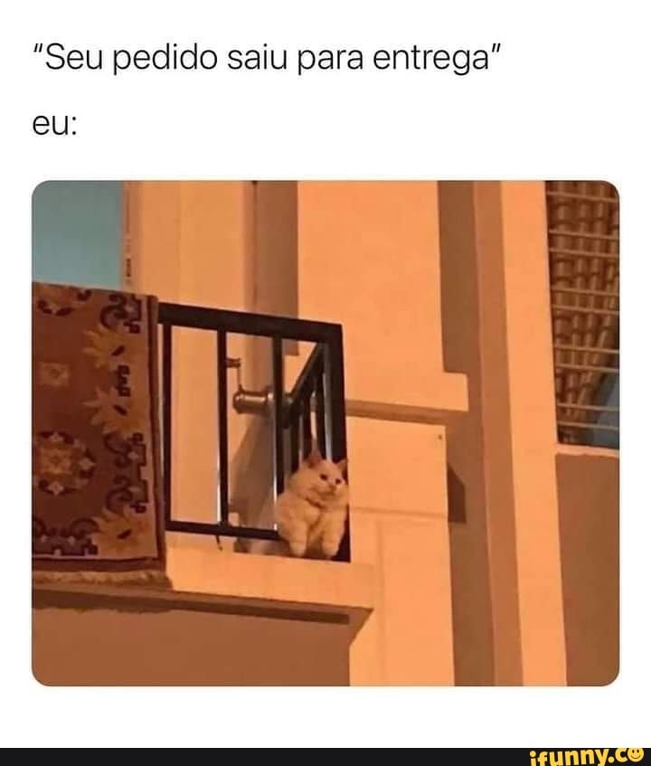 Seu Pedido Saiu Para Entrega Eu Ifunny Brazil