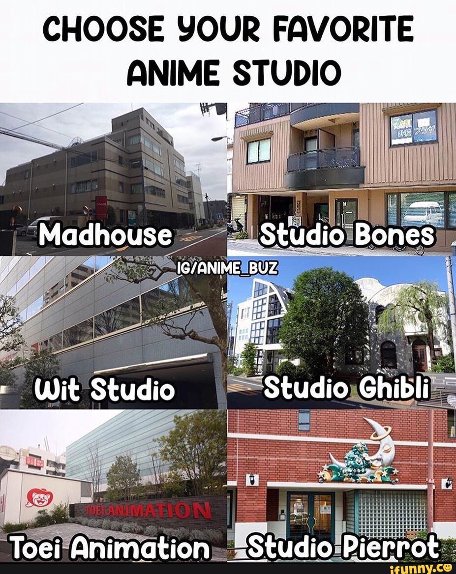 CHOOSE YOUR FAVORITE ANIME STUDIO Madhouse Studio Bones Wit Studio Taai  Animatinn - iFunny Brazil