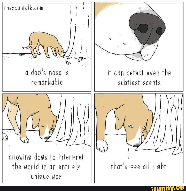 A dog's nose is it can detect even the remarkable subtlest scents