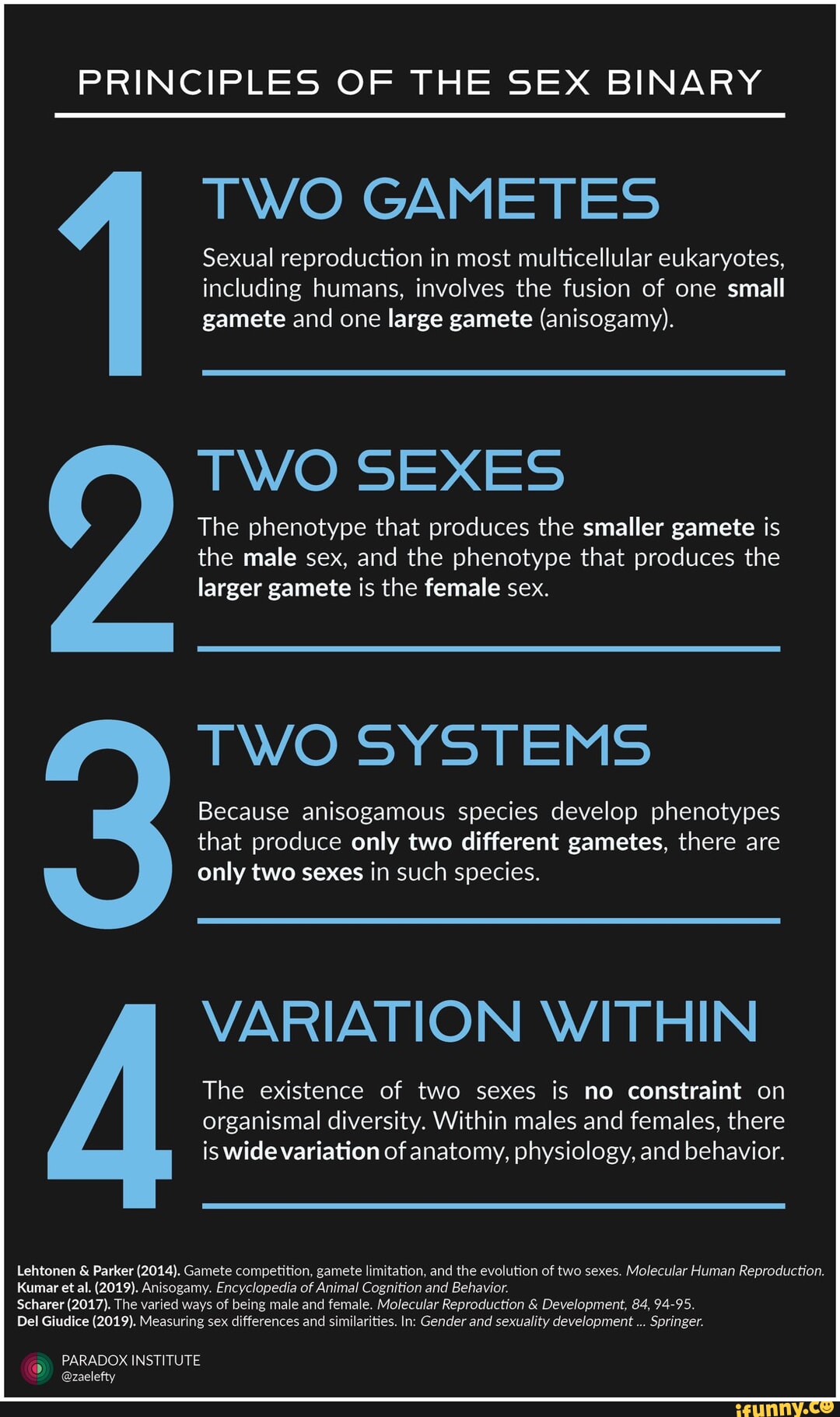 PRINCIPLES OF THE SEX BINARY TWO GAMETES Sexual reproduction in most  multicellular eukaryotes, including humans, involves