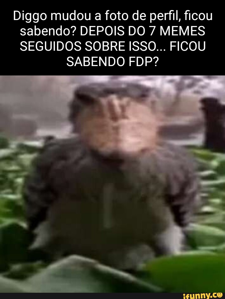 Diggo Mudou A Foto De Perfil Ficou Sabendo DEPOIS DO MEMES SEGUIDOS SOBRE ISSO FICOU