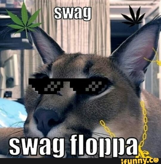 Floppa memes. Best Collection of funny Floppa pictures on iFunny