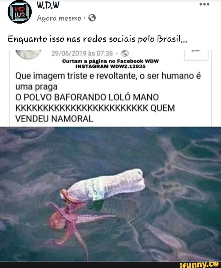 Enquanto isso nas redes sociais pelo Brasil wow Que imagem