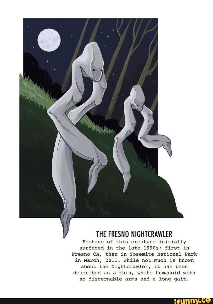 Crawling Through the Story of the Fresno Nightcrawler – The General Journal