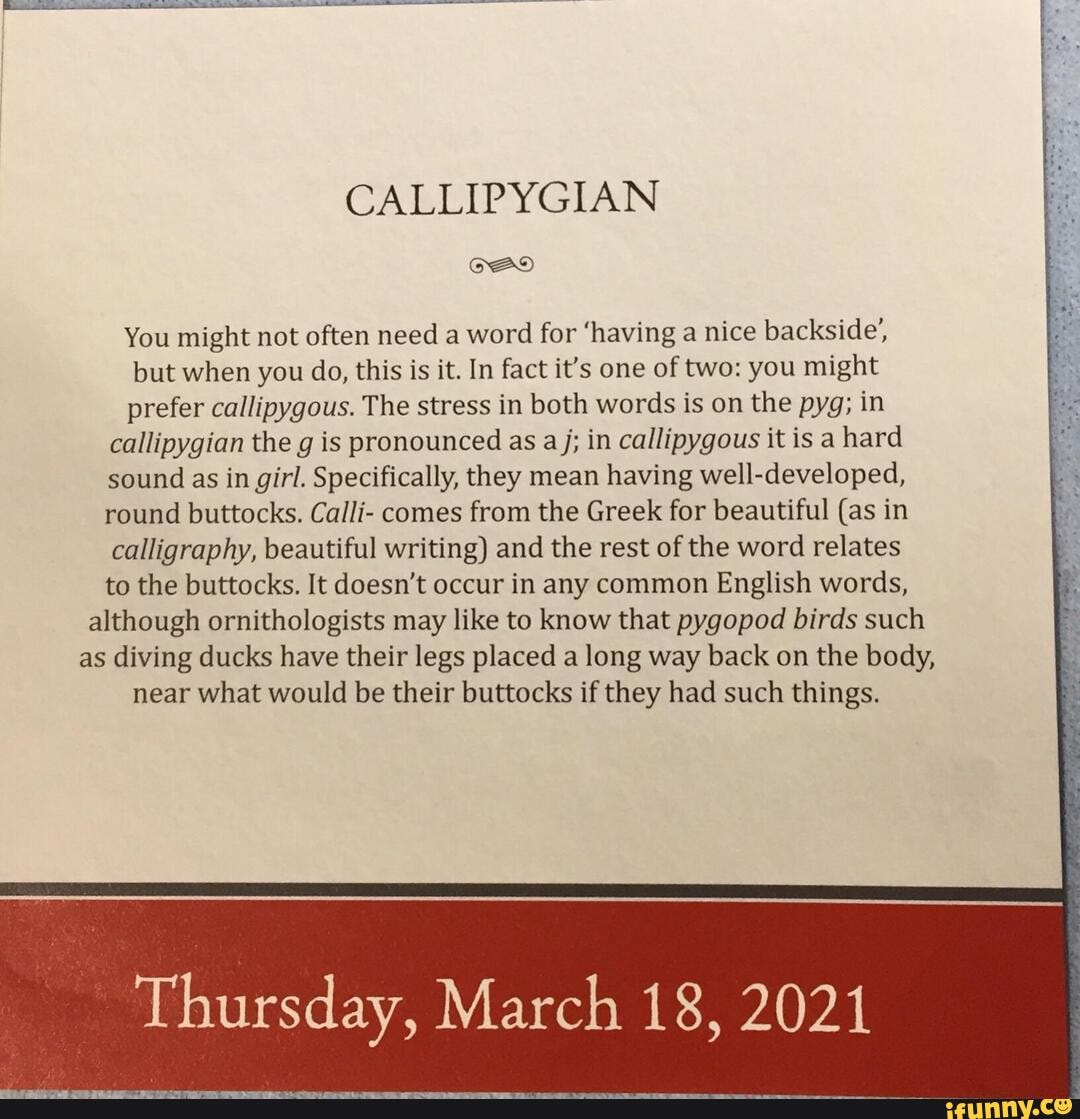 CALLIPYGIAN You might not often need a word for 'having a nice