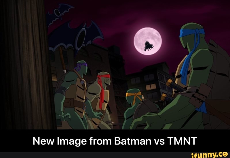 Hilarious Batman vs TMNT Meme - iFunny