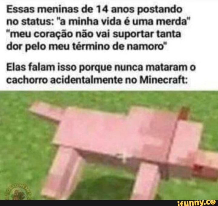 Minecraft memes - Lembra delas * Olha como elas estão hoje: vis - iFunny  Brazil