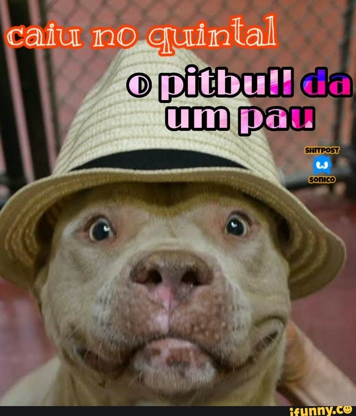 Memes de imagem AB859HqSA por kidmaicao - iFunny Brazil