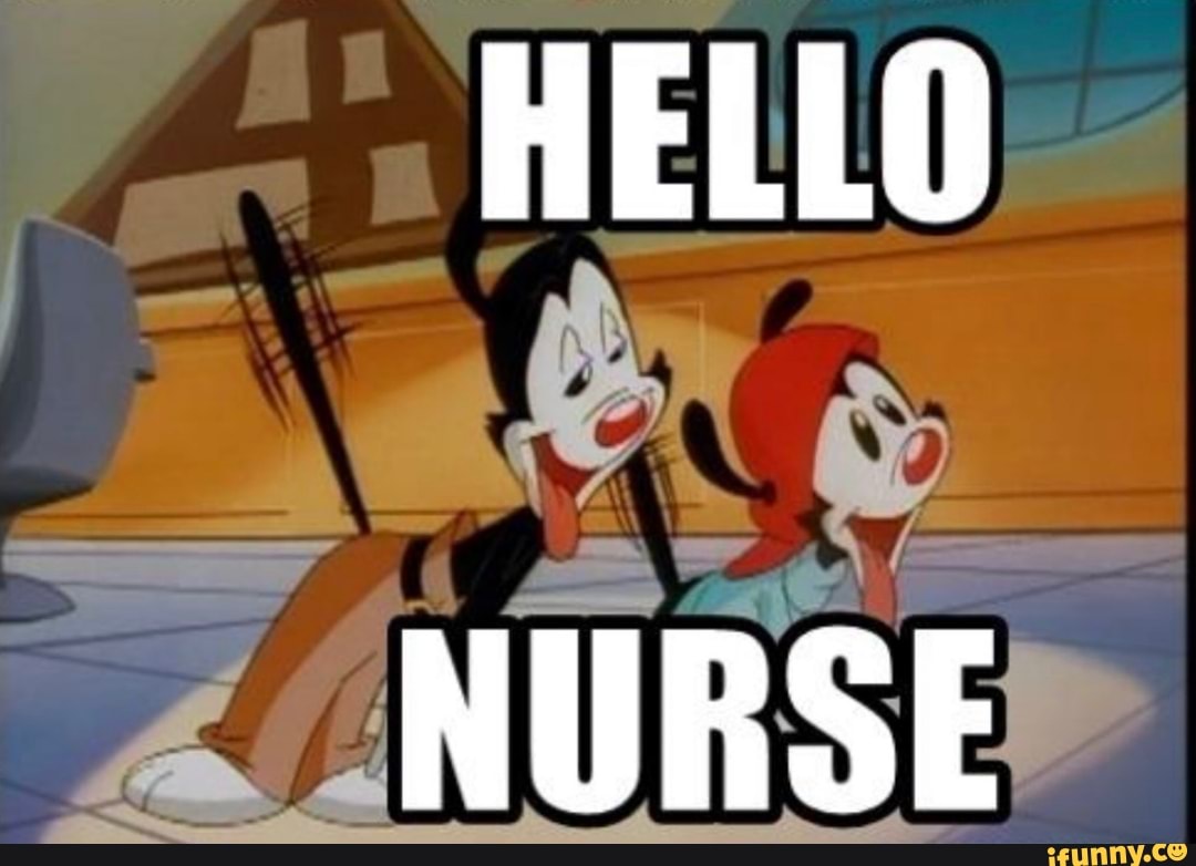 Animaniacs hello nurse gif