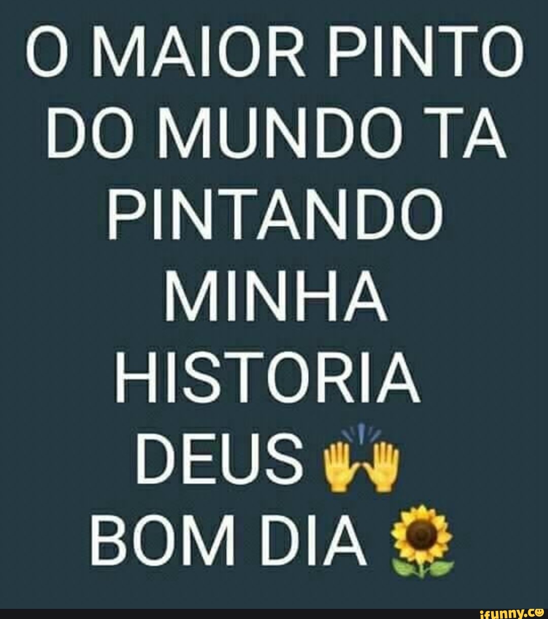 MAIOR PINTO DO MUNDO TA PINTANDO MINHA HISTORIA DEUS BOM DIA - iFunny Brazil