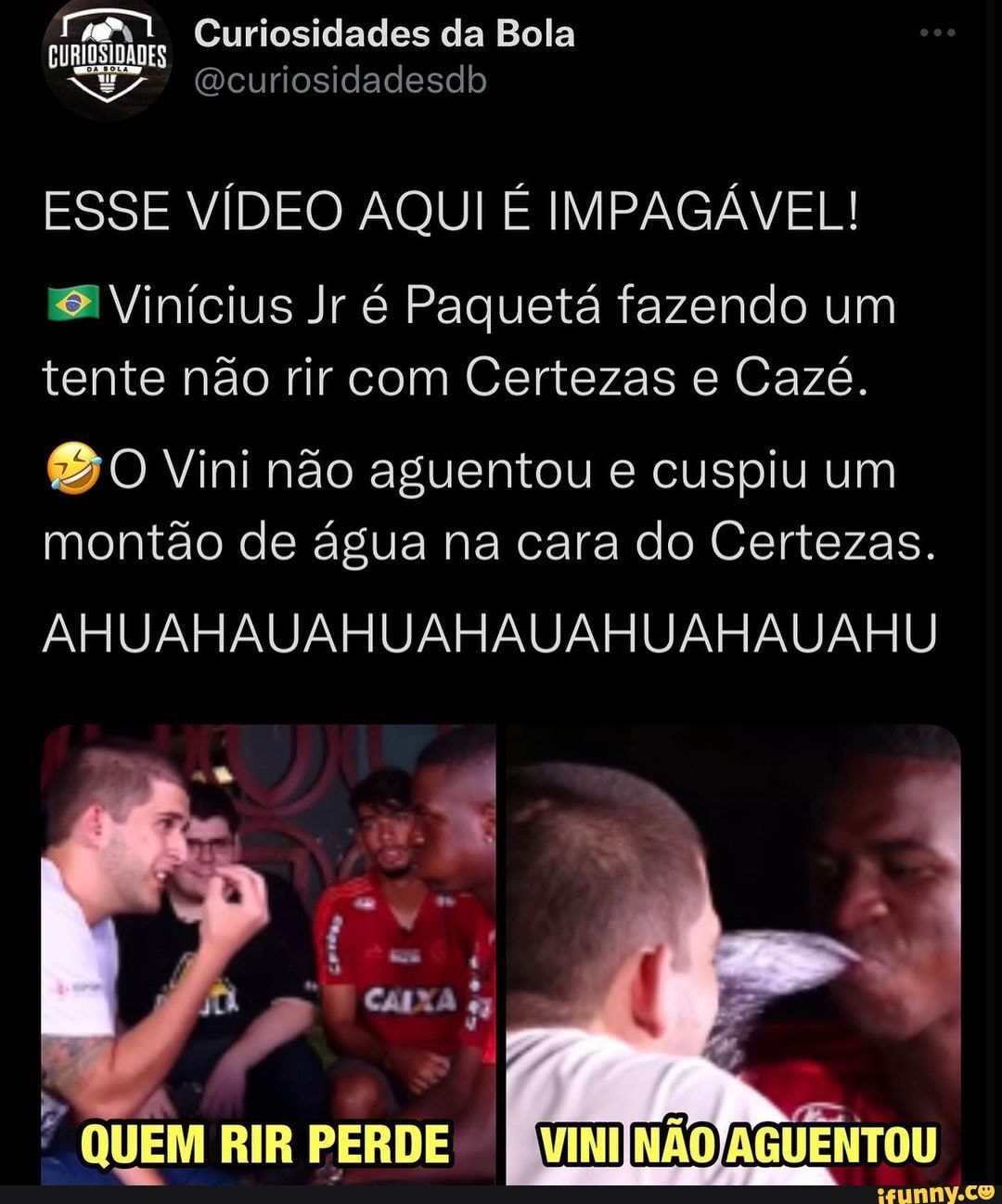 Sai daqui gato do capeta ! tente não rir com esse vídeo! gato