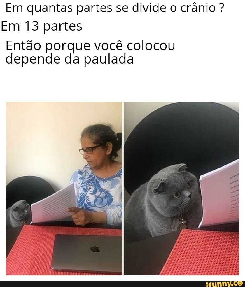 Em quantas partes se divide o crânio? - Charada e Resposta - Racha