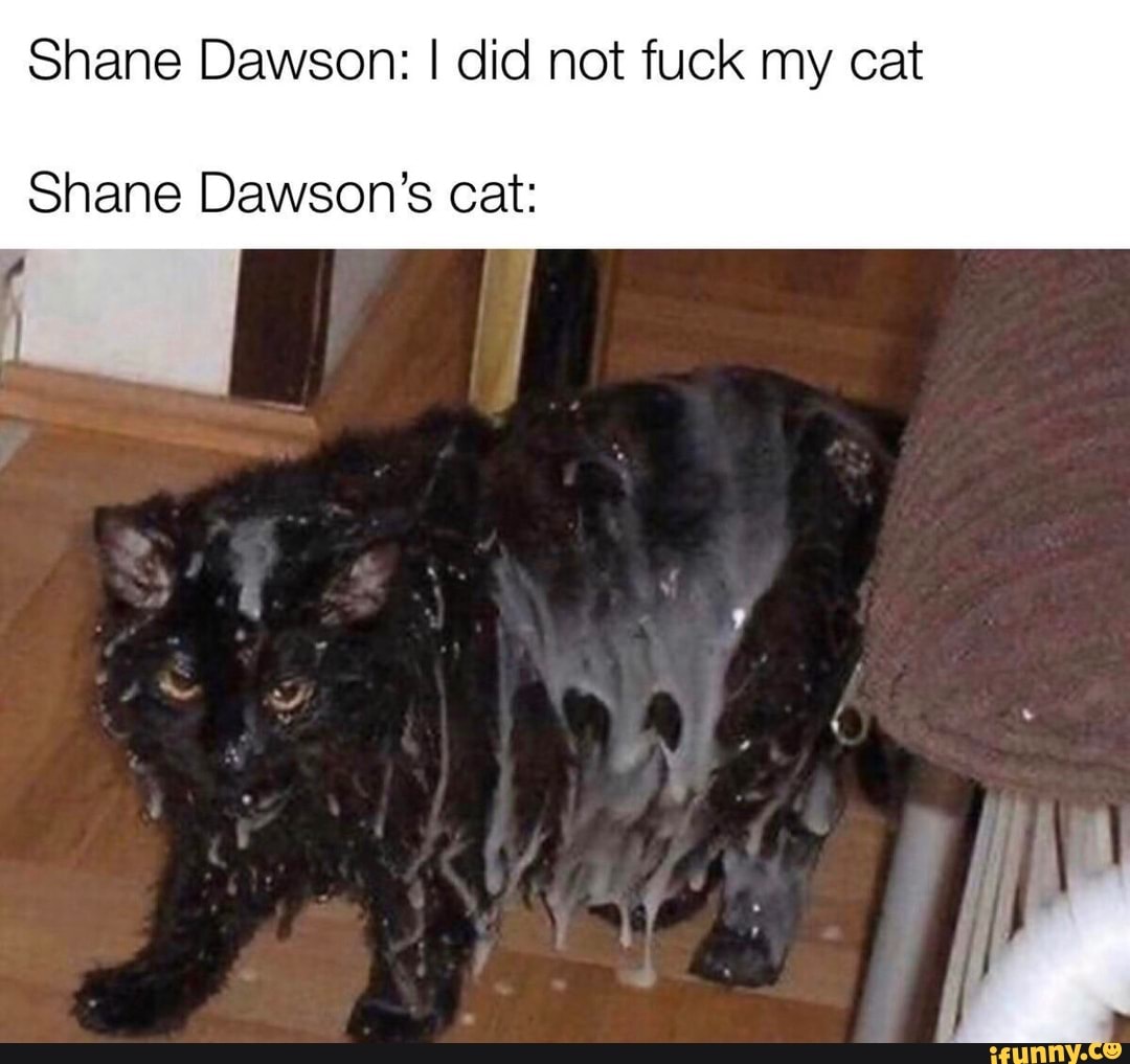 Shane Dawson Cat Meme Edited Outlet | fast-lisa.unibo.it