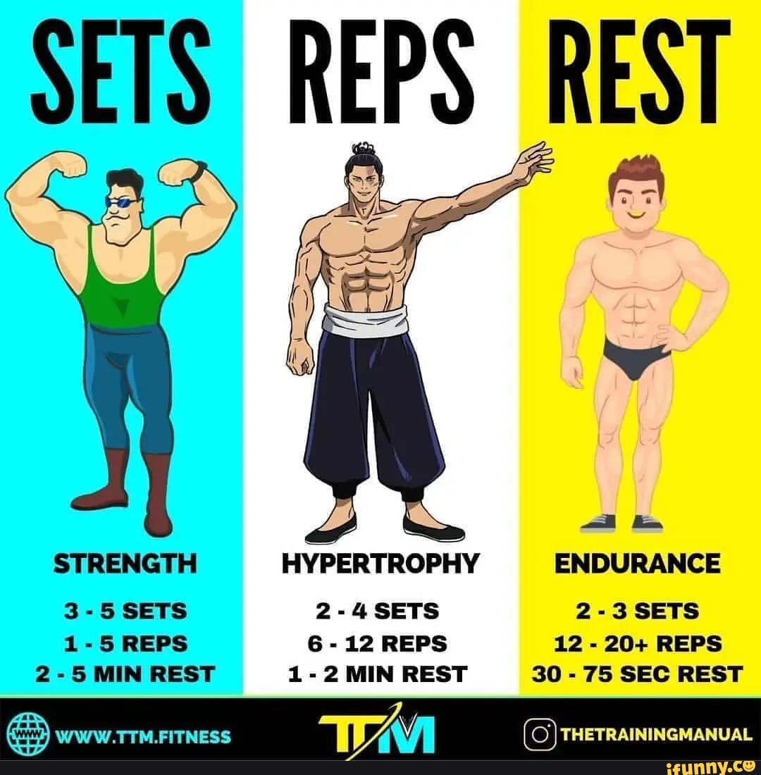 SETS REPS REST STRENGTH HYPERTROPHY ENDURANCE 3-5 SETS 2-4SETS 2-3 SETS ...