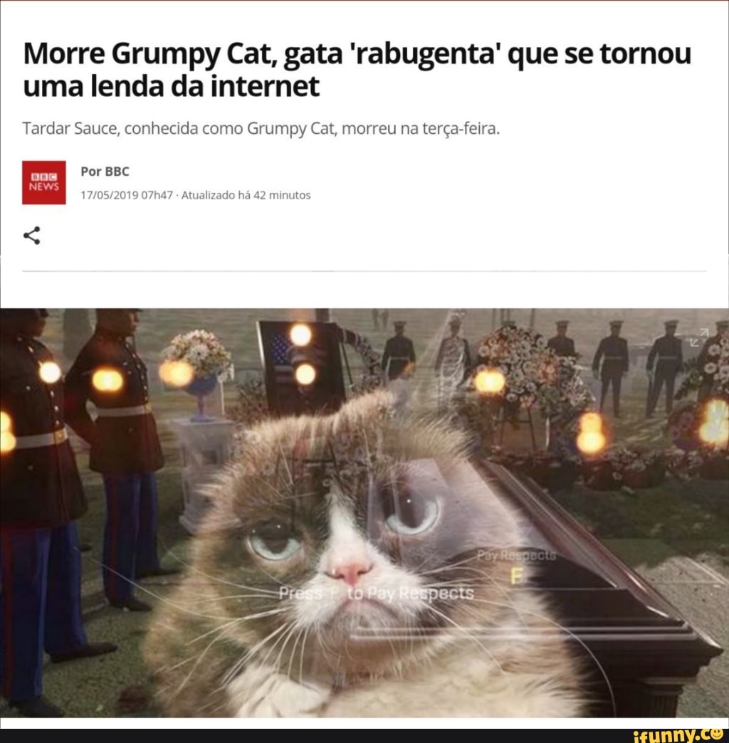 Grumpy Cat: gata rabugenta que virou meme na internet morre nos