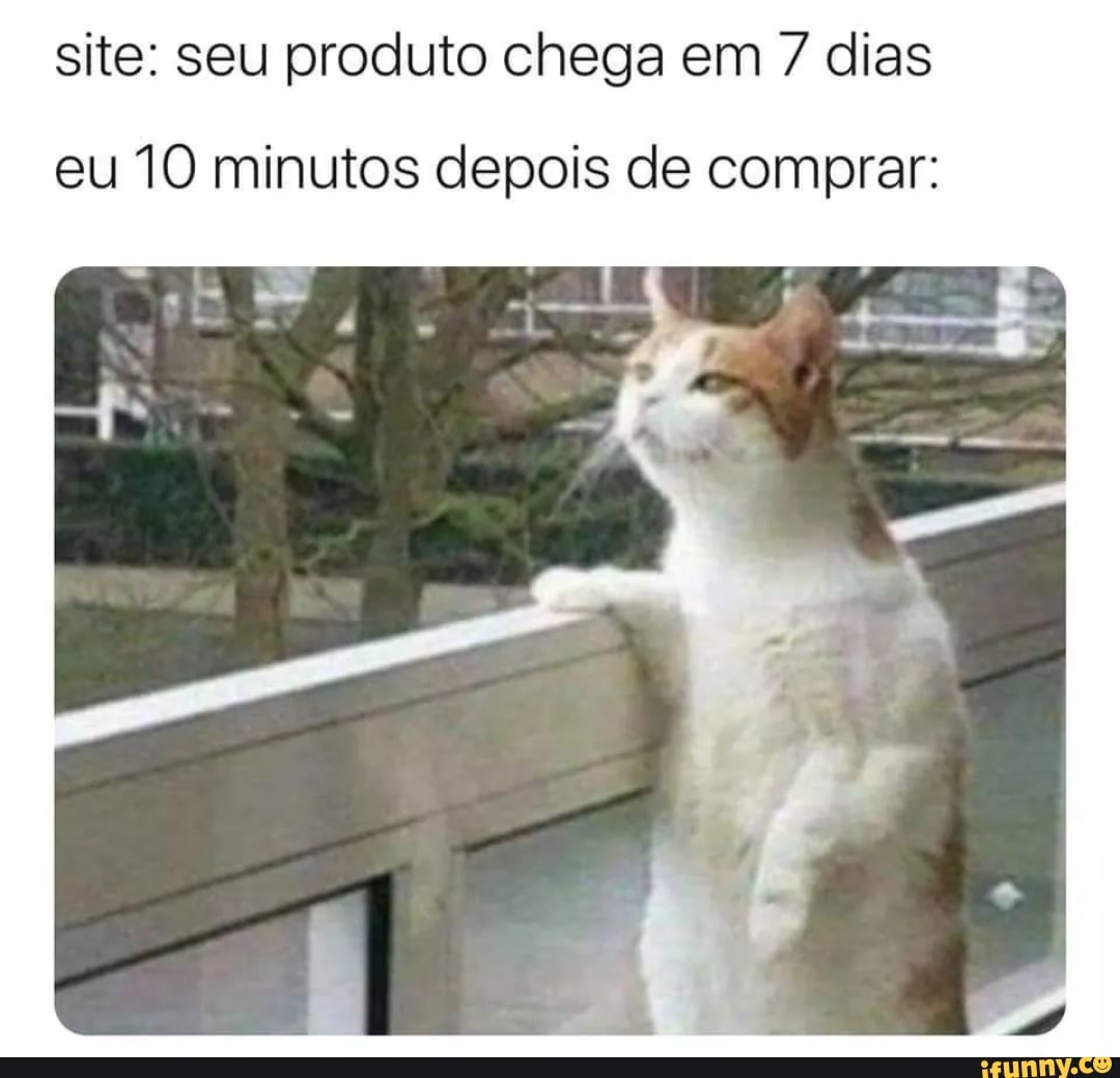 Você disse que a comida ia chegar em 19 minutos E faz quanto tempo que você  chegou? Faz uns 10 minutos Enião.. - iFunny Brazil