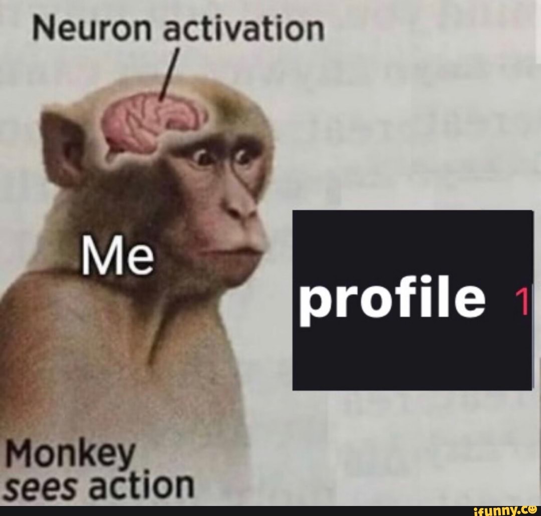 Neuron activation profile Monkey sees action - iFunny Brazil