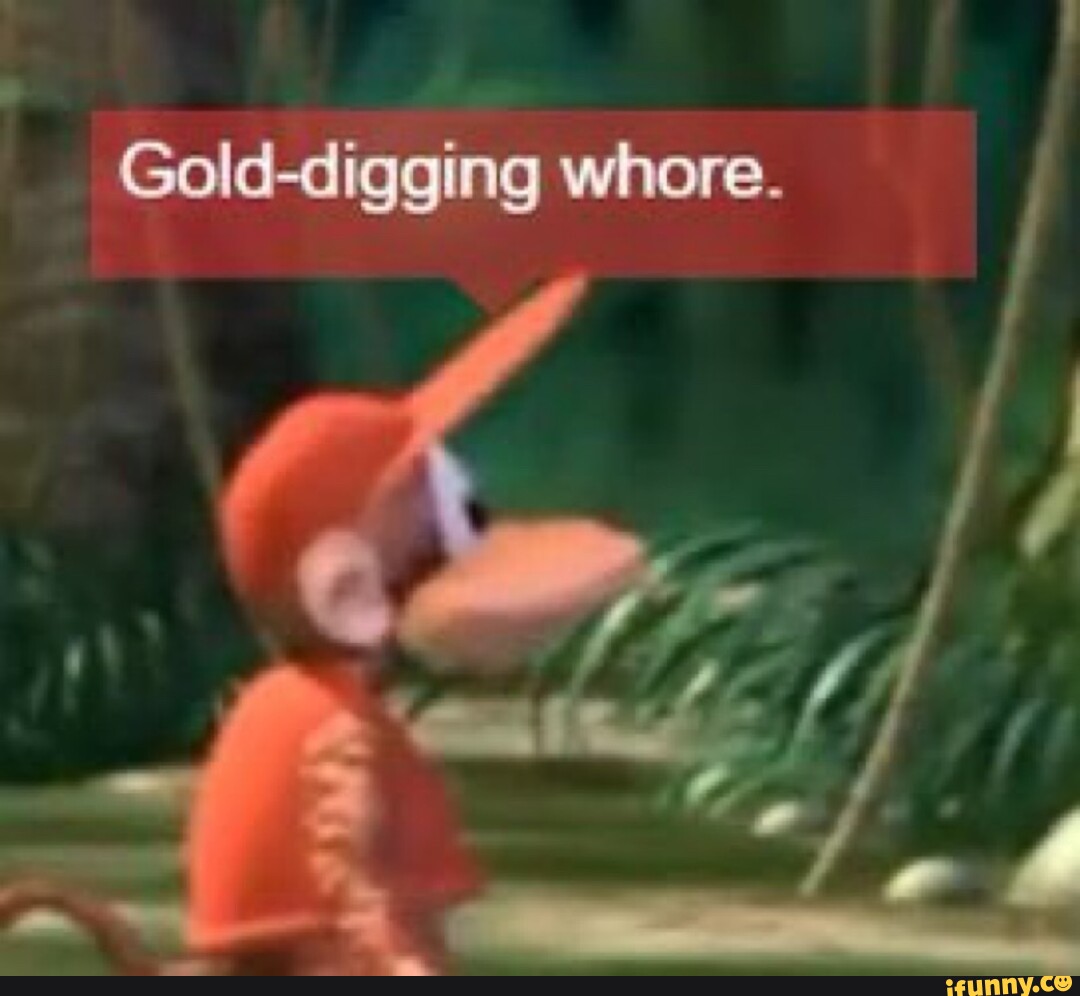 Golddigging memes. Best Collection of funny Golddigging pictures on iFunny  Brazil