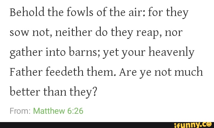 Behold the fowls of the air: for they sow not, neither do they reap ...