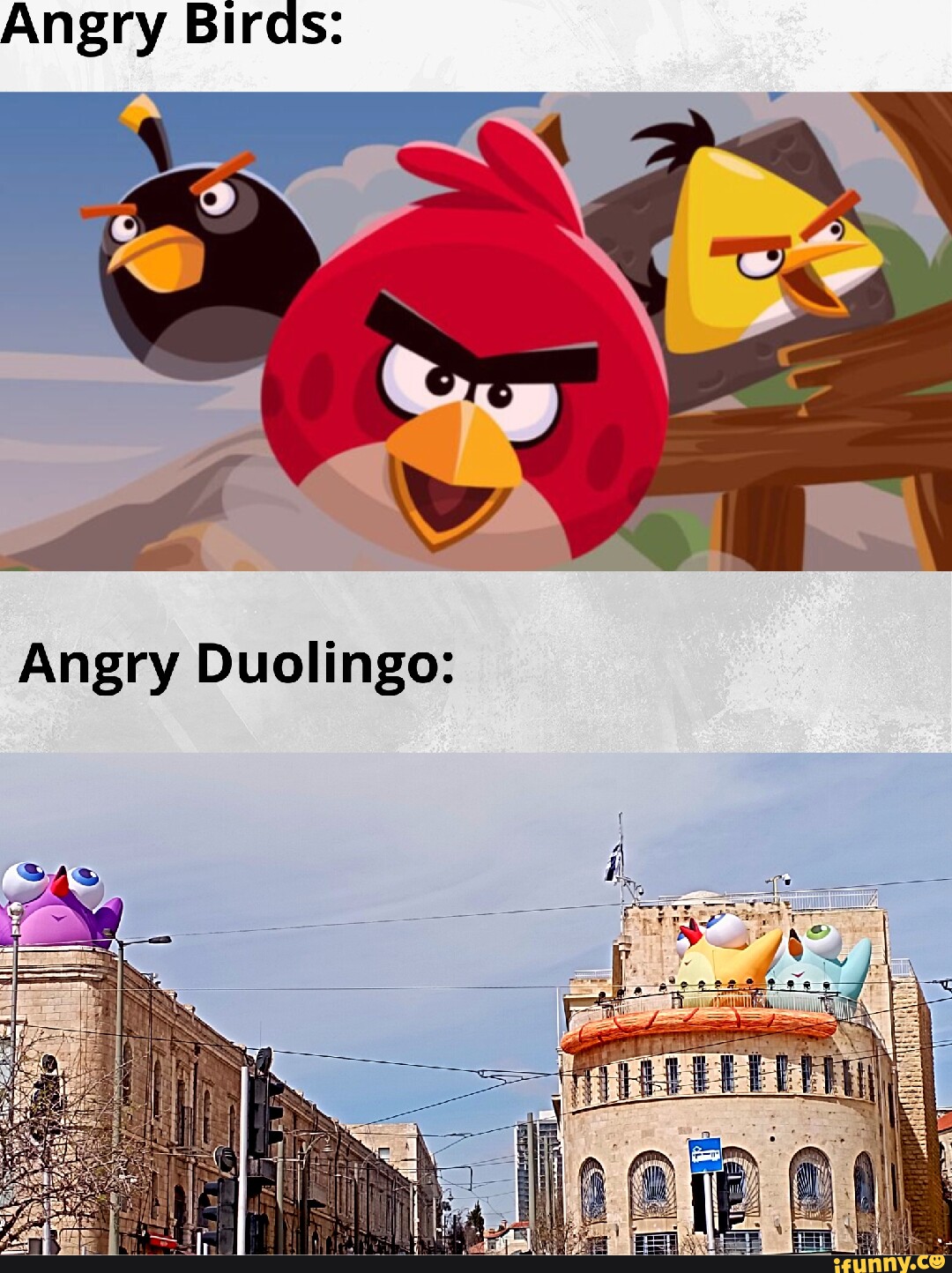 Angry Birds: Angry Duolingo: - iFunny Brazil