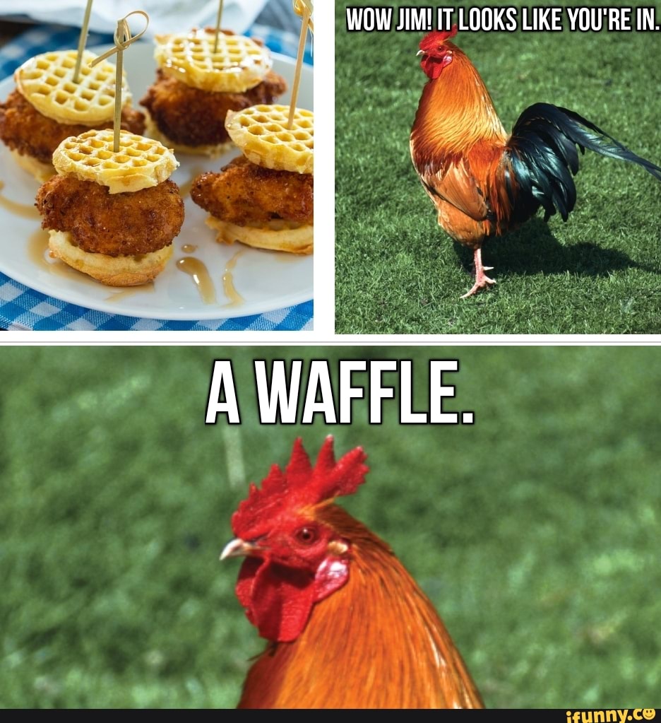 Chickenandwaffles memes. Best Collection of funny Chickenandwaffles  pictures on iFunny Brazil