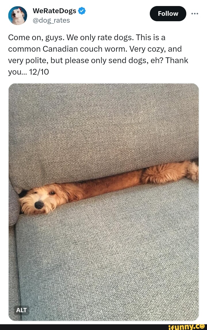 WeRateDogs @dog _rates Come on, guys. We only rate dogs. This is a common  Canadian couch worm. Very cozy, and very polite, but please only send dogs,  eh? Thank you... - iFunny