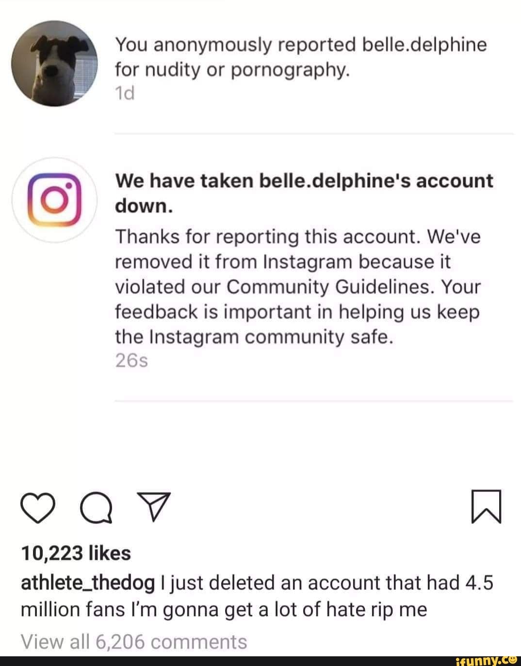 Why has Belle Delphine been removed from Instagram?