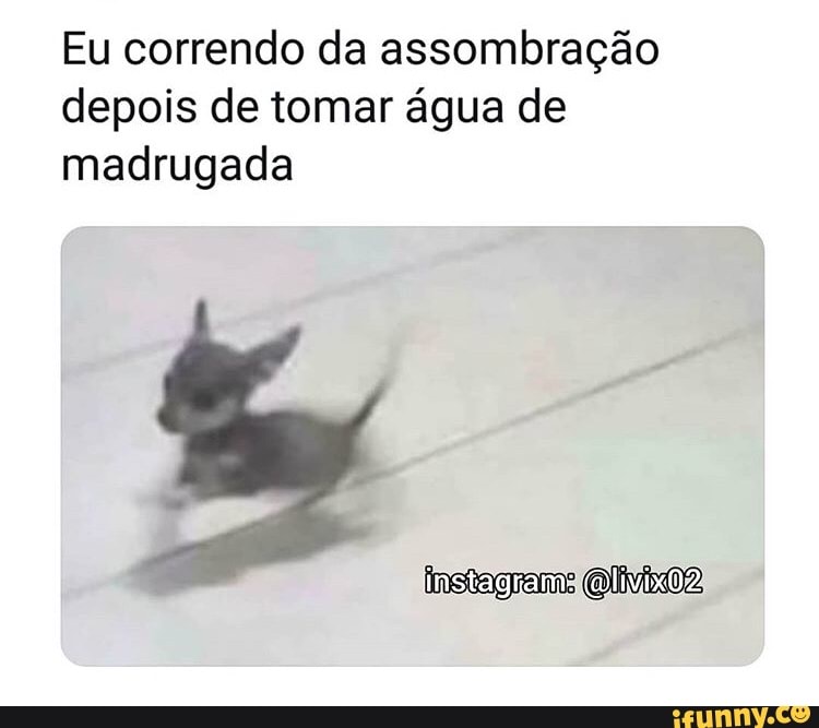 Assombrações memes. Best Collection of funny Assombrações pictures on  iFunny Brazil