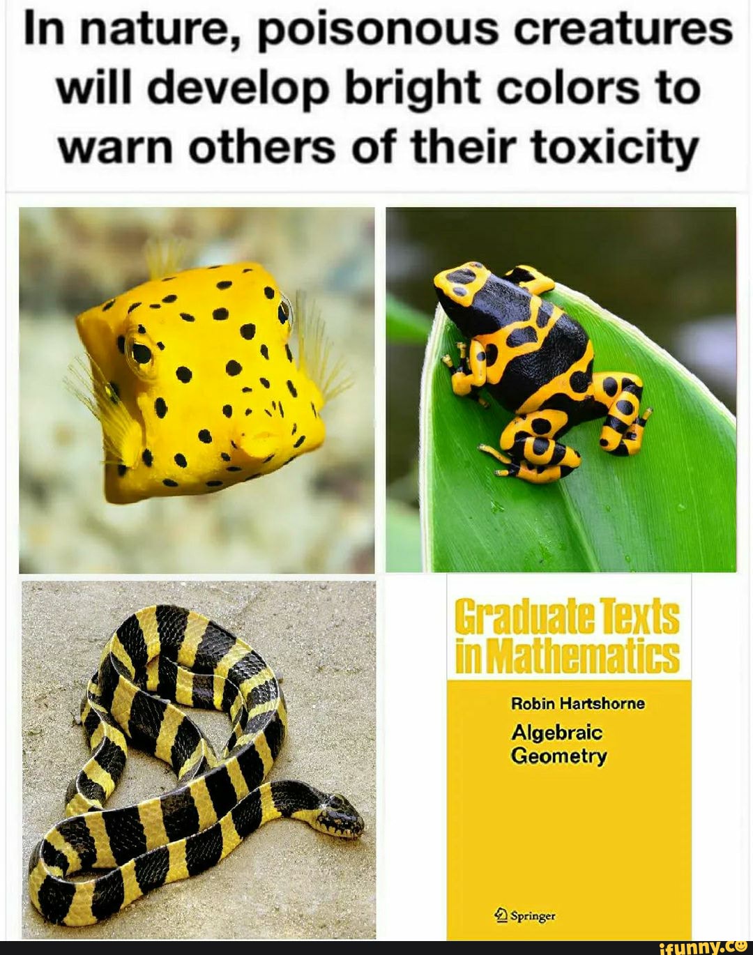 In nature, poisonous creatures will develop bright colors to warn