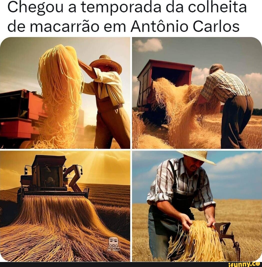 porto alegre memes on X: Galera do agro na EAD