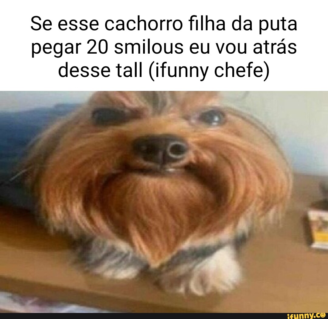 Se esse cachorro filha da puta pegar 20 smilous eu vou atrás desse tall  (ifunny chefe) - iFunny Brazil