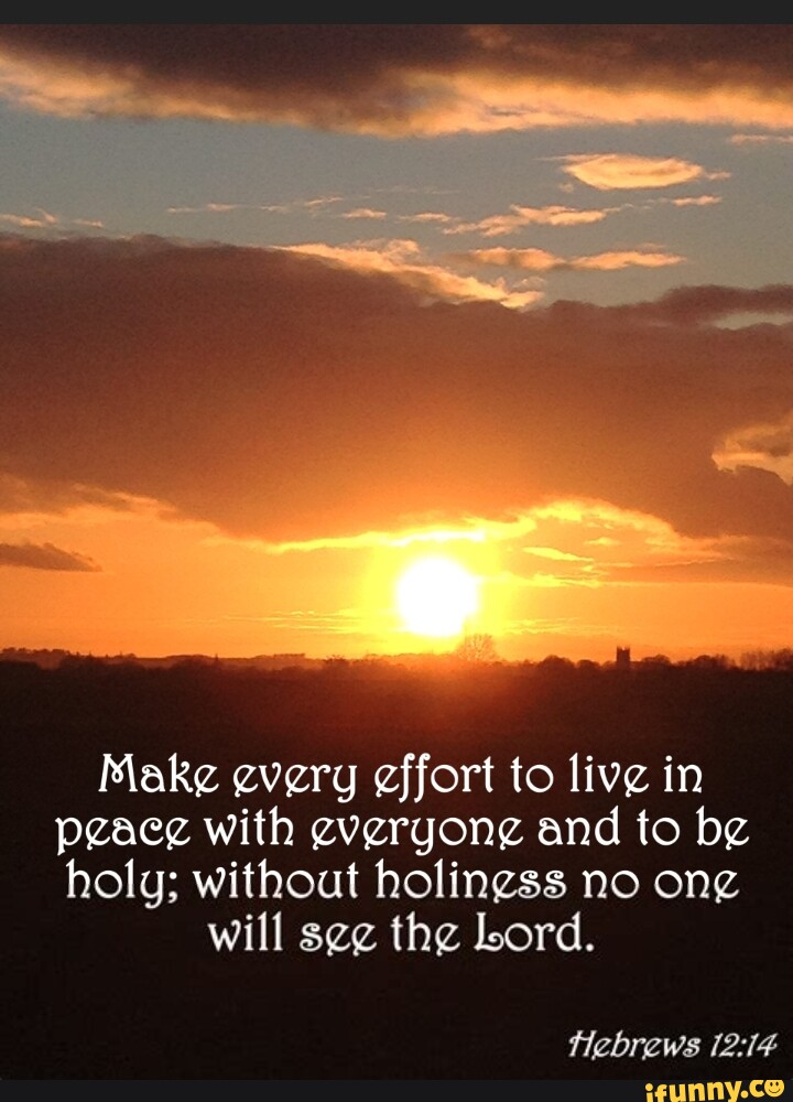 Make every effort to live in peaeg with everyone and to be holy ...