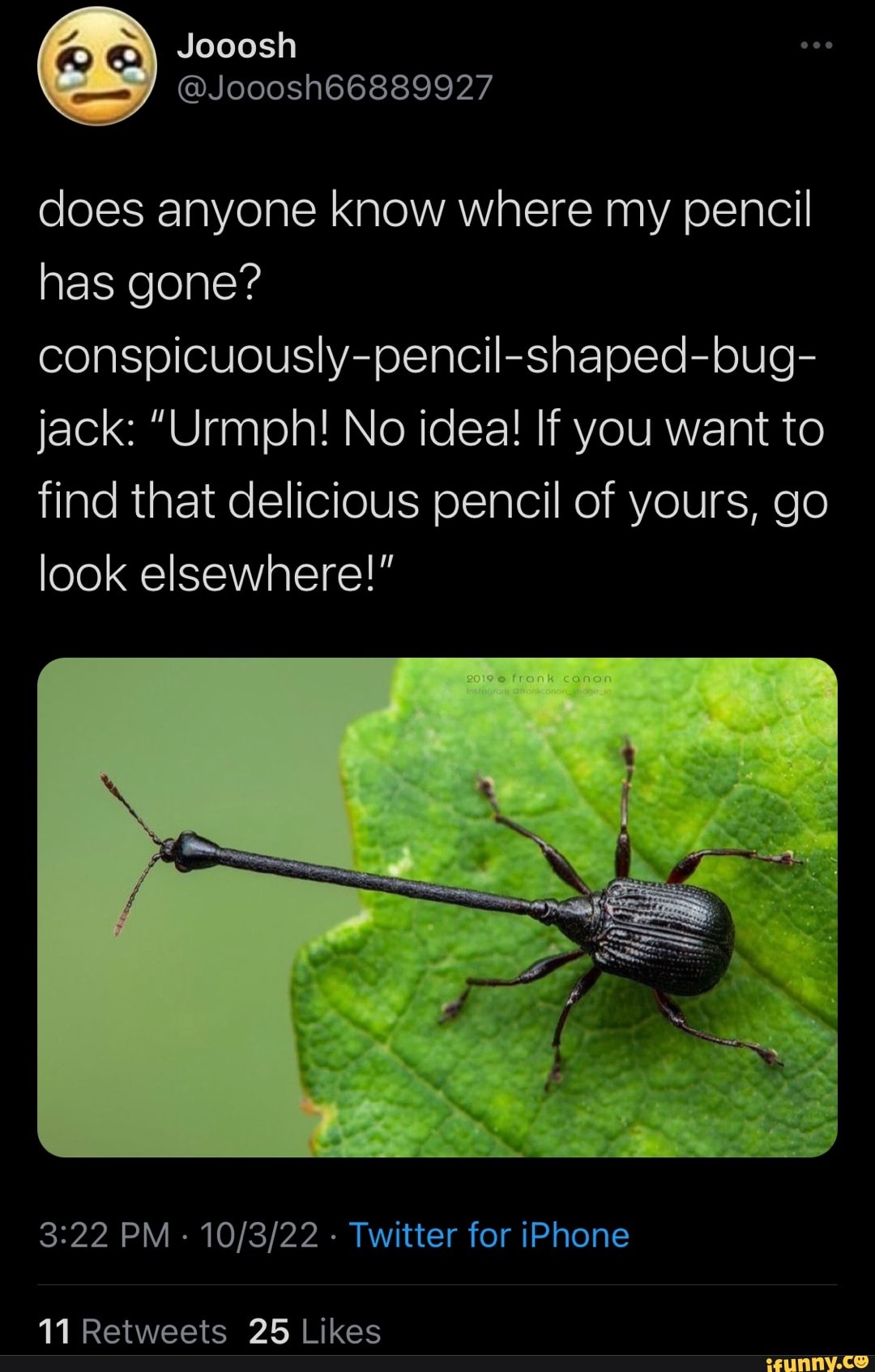 Jooosh does anyone know where my pencil has gone?  conspicuously-pencil-shaped-bug- jack: 