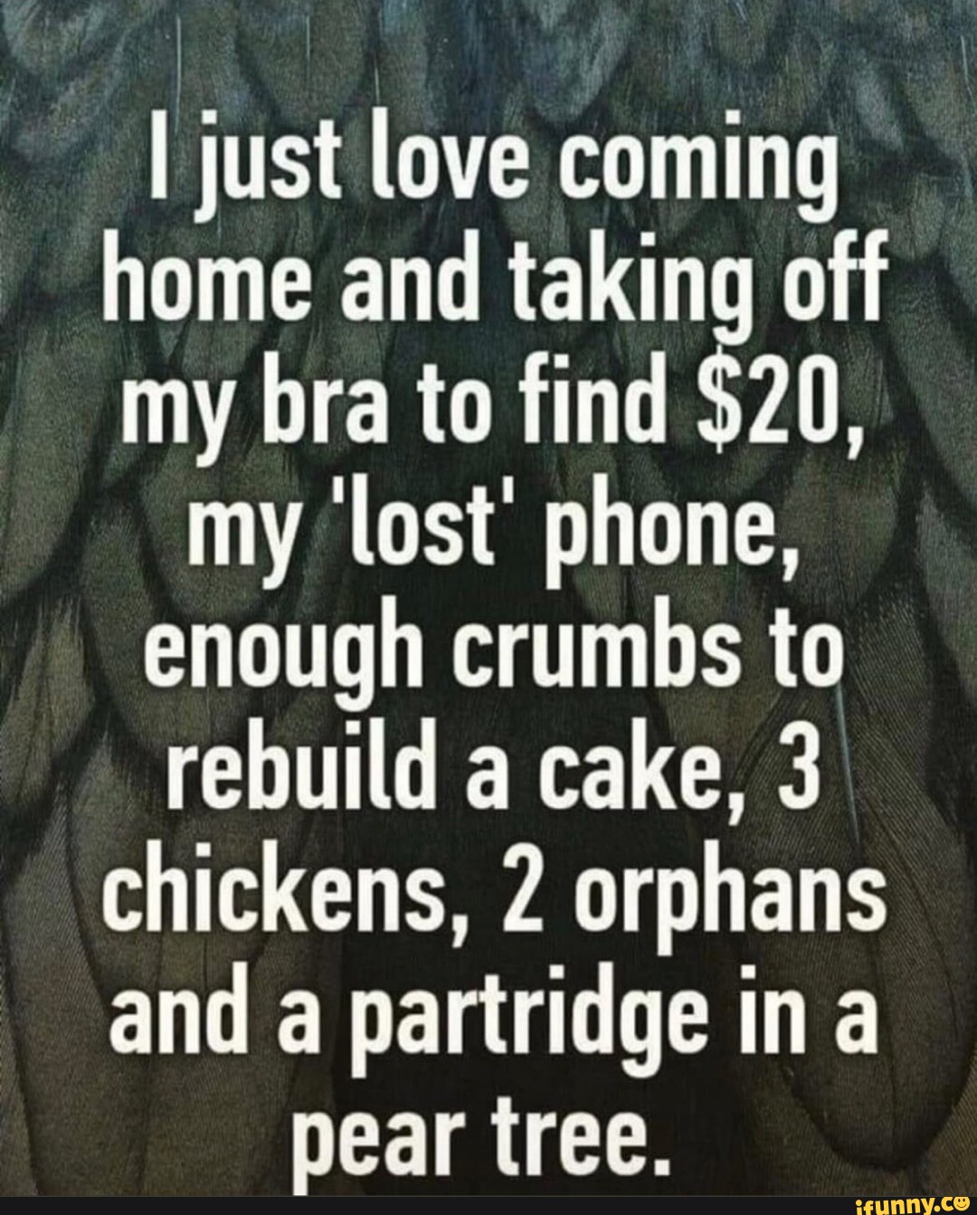 I just love coming home and taking off my bra to find $20, my lost' phone,  enough crumbs to rebuild a cake, 3 chickens, 2 orphans and a partridge ina  pear tree. - iFunny Brazil
