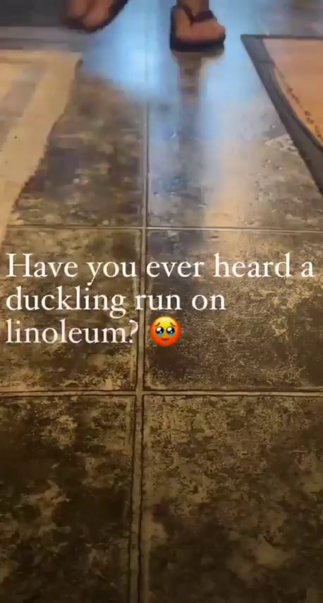 Hello duckling from duck life 3 Hello peter griffin from fortnite - iFunny  Brazil