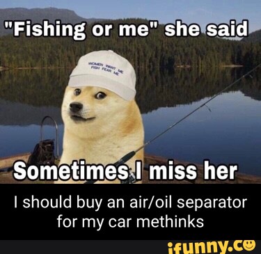 Fishing or me she said Sometimes I miss her I should buy an separator for  my car methinks - iFunny Brazil
