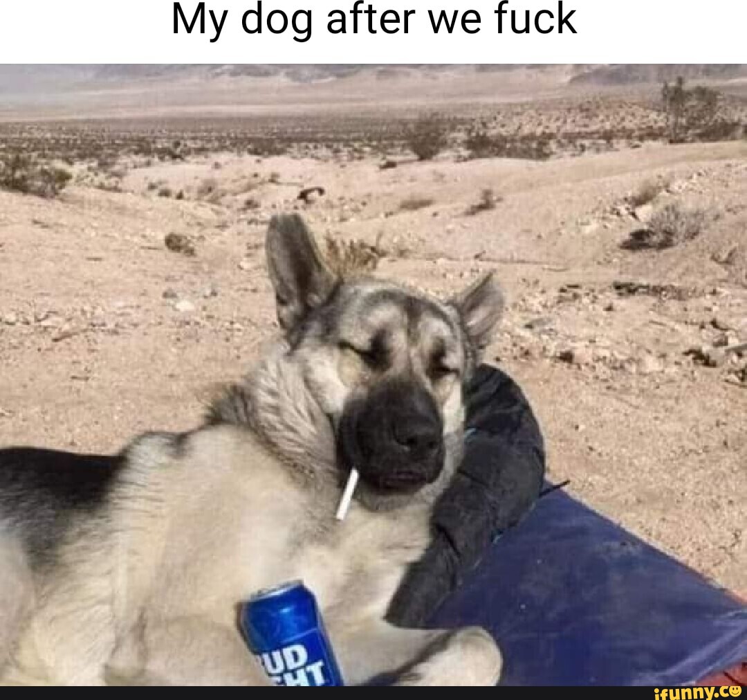 My dog after we fuck I - iFunny Brazil