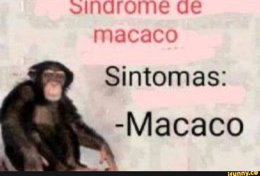 Sintomas: -Macaco - iFunny Brazil