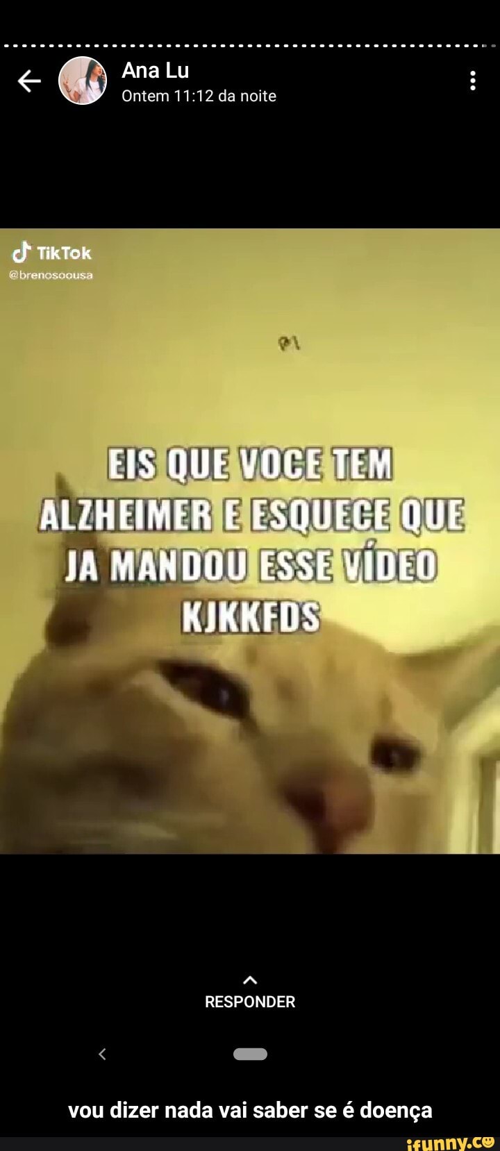 Esse video da Lu—