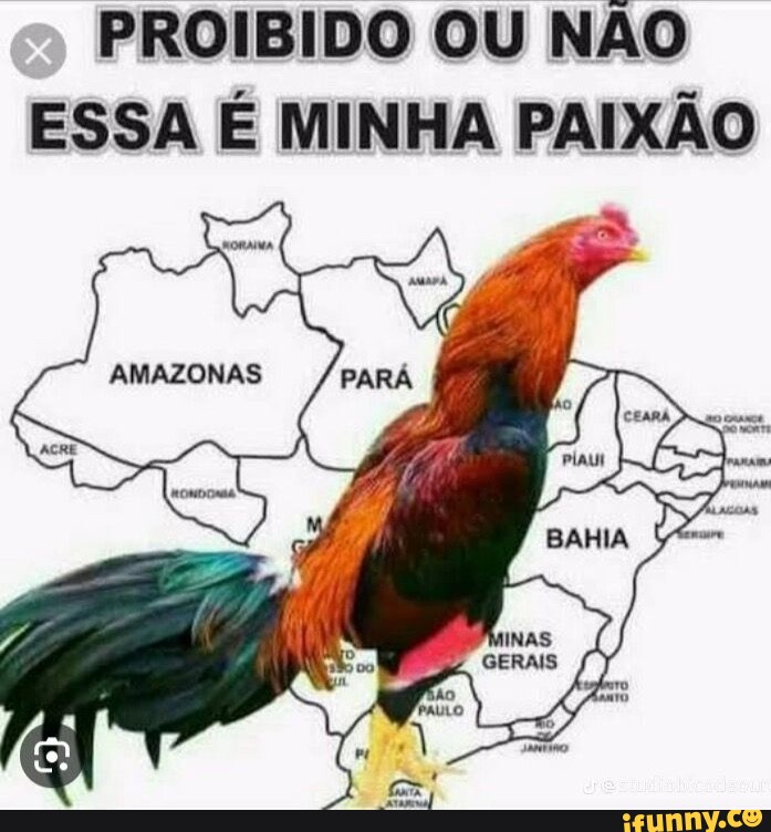 Jogar uno é minha paixão - iFunny Brazil