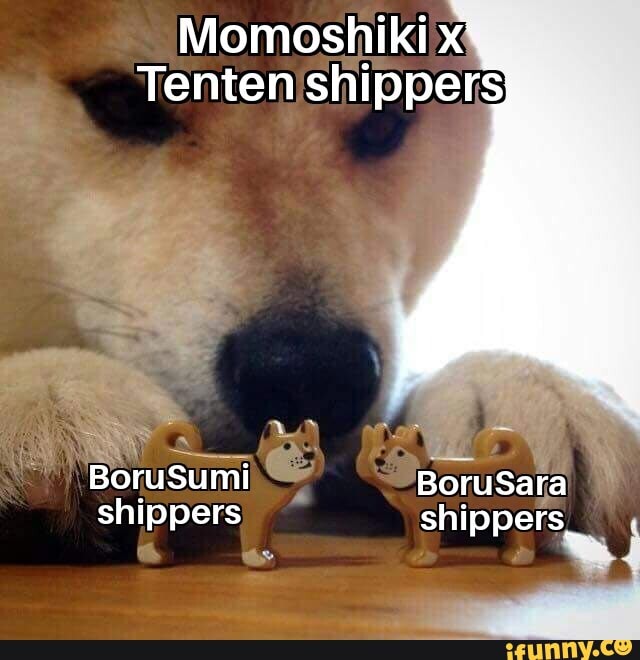 Momoshiki memes. Best Collection of funny Momoshiki pictures on iFunny  Brazil