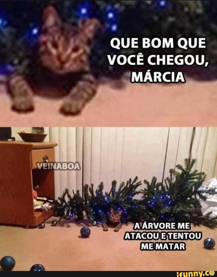 Memes e memes - Duende da fortuna, não ignore, hoje você terá